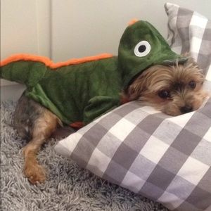 Dragon dog costume,Martha Stewart pet collection